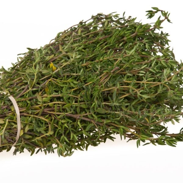 Thyme